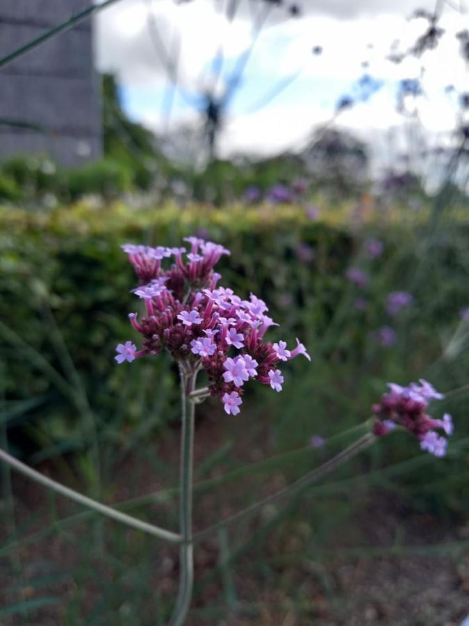 Le Jardin Des Fagnes Vila Robertville Exterior foto