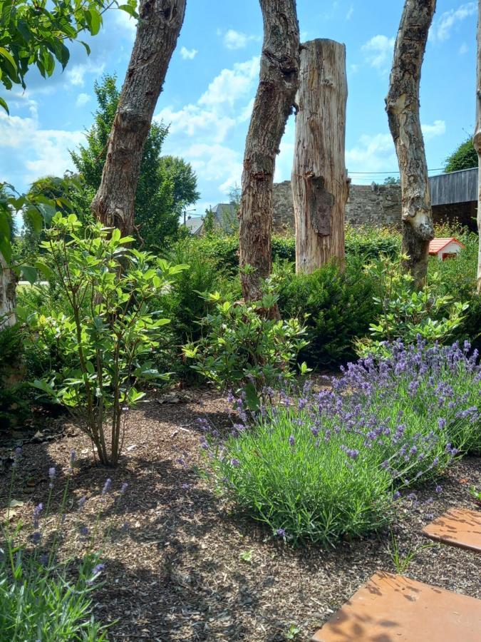 Le Jardin Des Fagnes Vila Robertville Exterior foto
